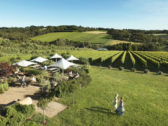 亚拉河谷(Yarra Valley)酒庄