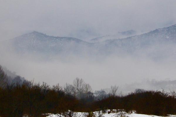 一場三月春雪 把呂梁山河大地浸染成一副中國水墨畫
