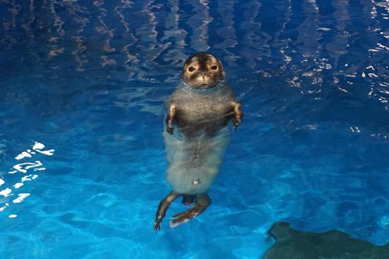 南昌有无敌海景的海洋乐园_手机旅游频道