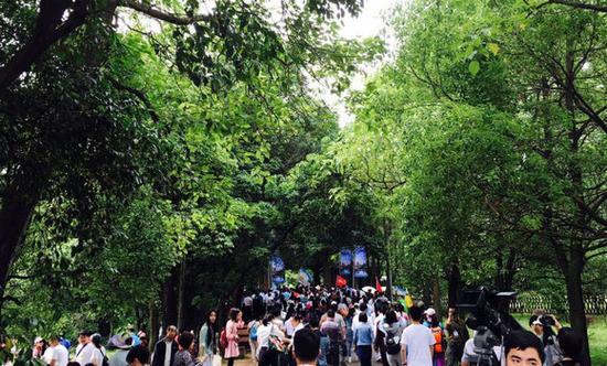 万人徒步迎中国旅游日 景域驴妈妈助力江西龟