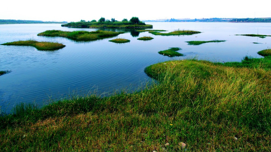 黑龙江省十大最美湿地候选:明水湿地自然保护