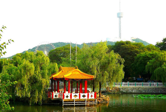新浪旅游配图:大连劳动公园景观 摄影:POCO静止的岁月
