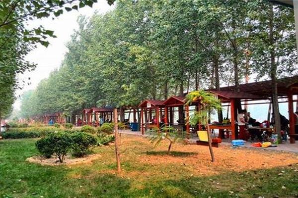 在天津八大森林公园里纳凉避暑