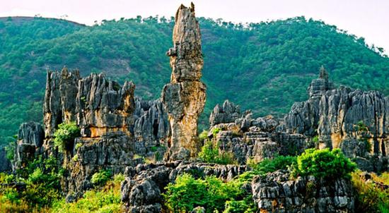 走进石林景区 赏世界著名的喀斯特景观_新浪旅游_新浪网