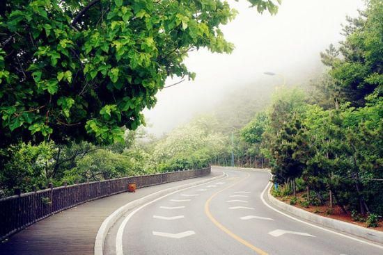 新浪旅游配图:大连滨海路风景 摄影:图片来自旅游攻略