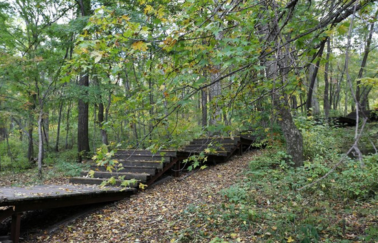 在哈尔滨的后花园 赏花玩水过夏天