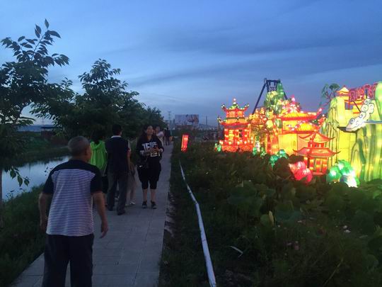 昭通昭阳区绿荫村荷花灯会扮靓昭阳