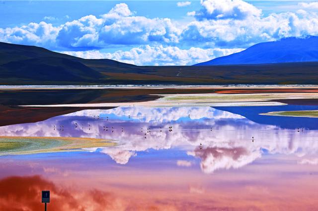 玻利維亞奇異的高原紅湖