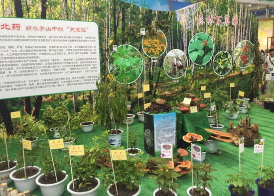 森林百草园
