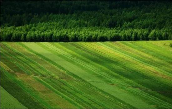 ���ױ�����ԭ����