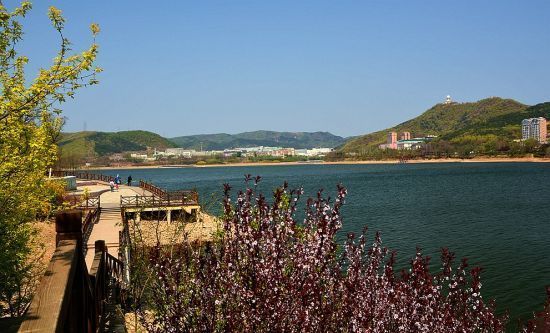 新浪旅游配图:西郊国家森林公园 摄影:图片来自旅游攻略