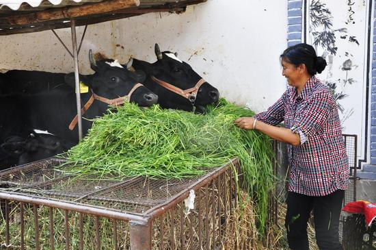 剑川建设龙门村红色乡村幸福家园示范区 助推