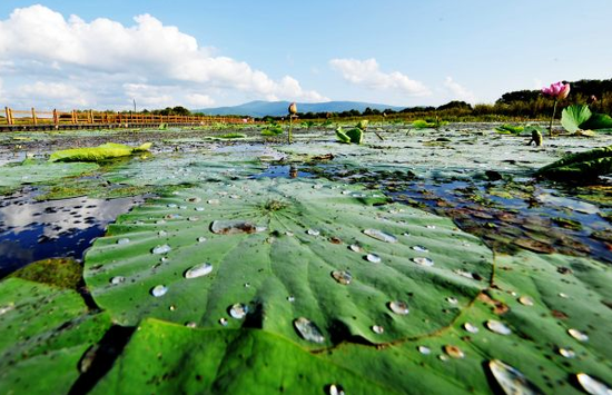 华夏东极佳木斯竟是如此绝美之地_新浪旅游_新浪网