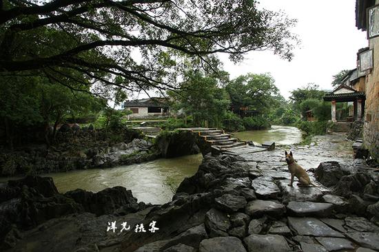新浪博主:@洋光摄客