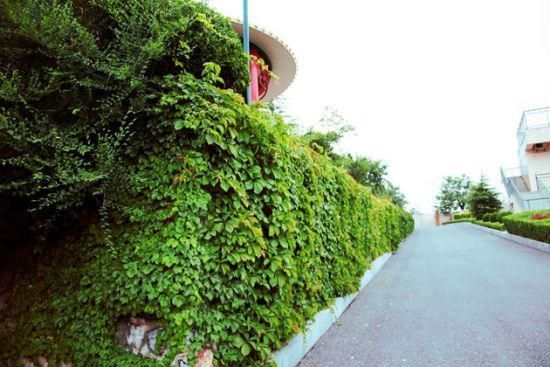 新浪旅游配图:结好巷 摄影:图片来自旅游攻略