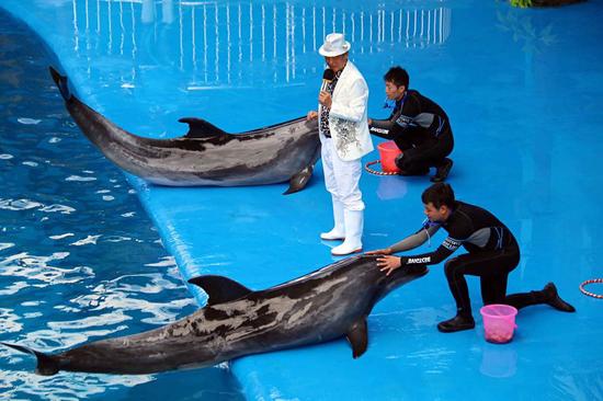 8月石林冰雪海洋世界开始营业 云南人在家门口