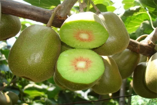 贵安新区的秘境