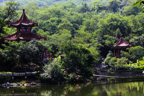 新浪旅游配图:大连植物园 摄影:图片来自网络