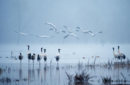 曲靖古敢小镇等景区入围 最云南·新发现201