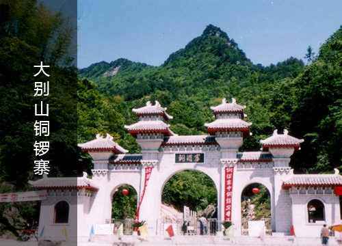 赴佛子岭水库——中国淮河流域的大型山谷水库,库区内森林覆盖率达77