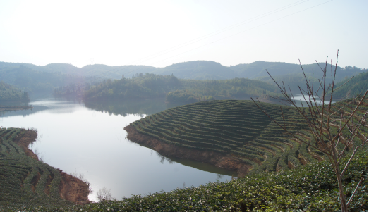 树荫照水爱晴柔 龙陵平达小河水库风貌