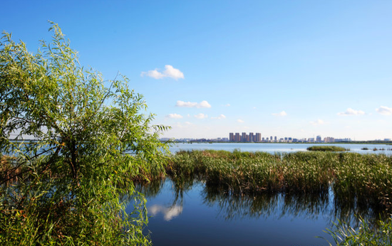 抓住夏天的尾巴 去大庆欣赏百湖风光