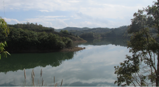 树荫照水爱晴柔 龙陵平达小河水库风貌