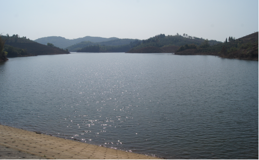 树荫照水爱晴柔 龙陵平达小河水库风貌