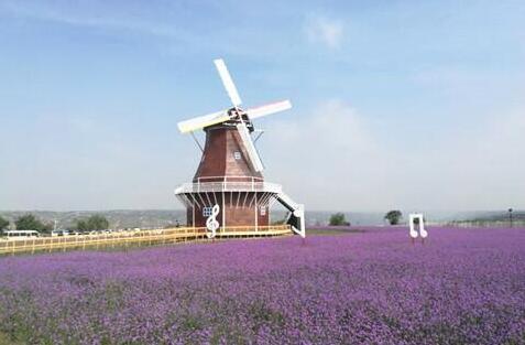 庆城打造西部旅游明珠 北欧风情园熏衣草庄园