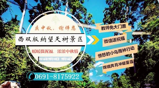 教师节遇上中秋节 西双版纳望天树景区别样好玩