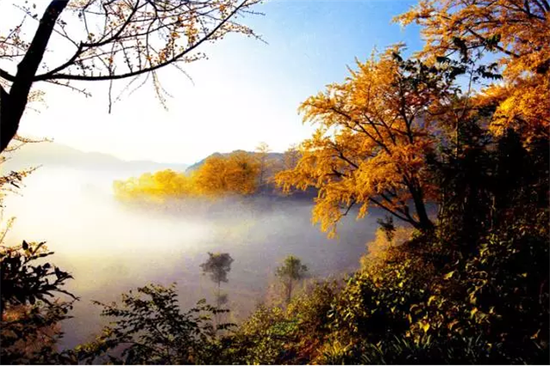 盘县 贵州醉美秋天的小城