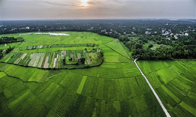#海南旅游资讯# 【丝路海口 都市田洋】海口. 