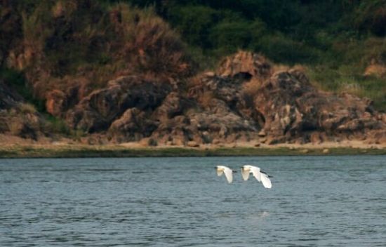 广西首家国家湿地公园出炉到湿地里赏原始好风光