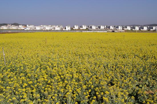 【你不知道的曲靖】专访马龙县旅游局副局长唐