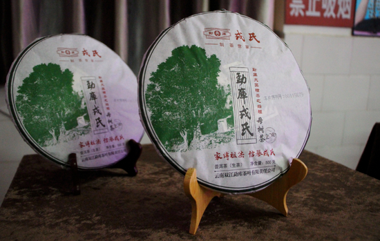 勐库戎氏母树茶