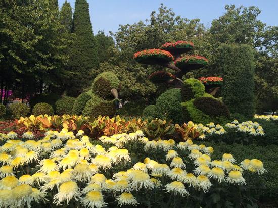 国庆去哪儿 大连旅游景区优惠全攻略