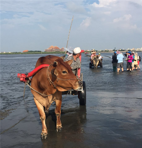 湿地公园与生态旅游--金秋时节游台湾 来一场环