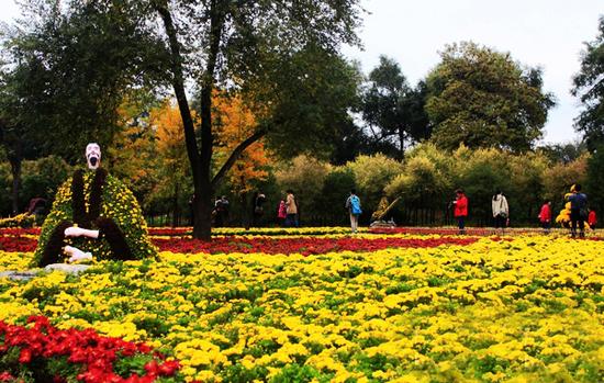 十一黄金周河北旅游收入超180亿元 京西百渡成