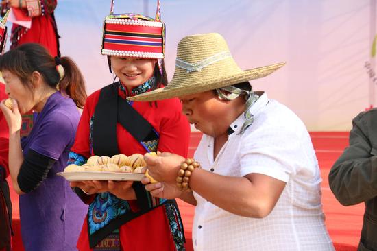第二届中国(石林)人参果旅游文化节隆重开幕