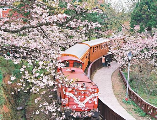 图为陆客来台必访的阿里山火车。台湾《联合报》资料照片