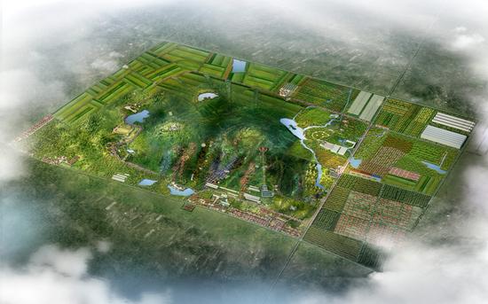 平面图 550_343
