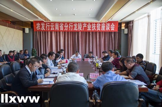 云南省农发行副行长冯学到龙陵县调研