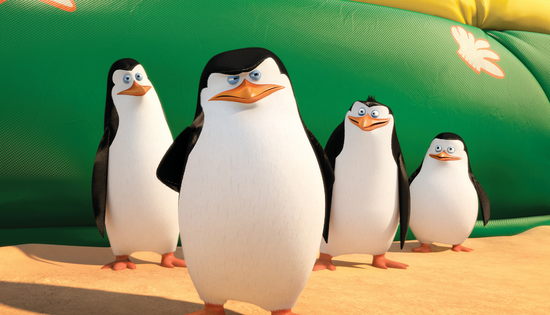 6只南极企鹅空降昆明 你想与他们互动吗