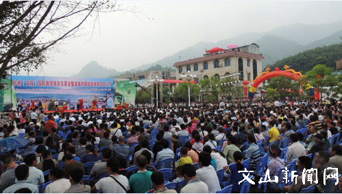 2014年中越(天保)国际商贸旅游交易会暨首届中国祖母绿珠宝文化节开幕式现场