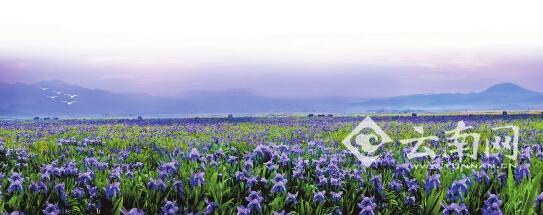 【喜迎党代会·十六州市巡礼·向幸福奔跑】保