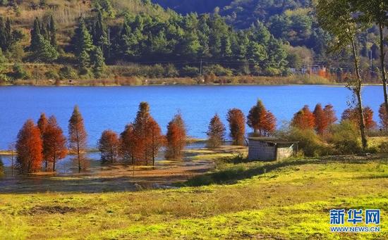 昆明三家村:那一池醉秋