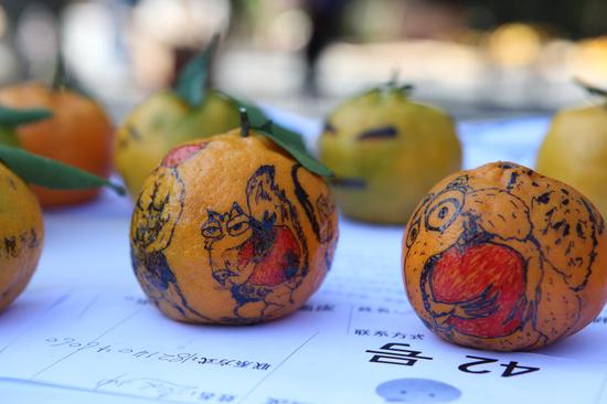 国内首个橘子主题跑云南普洱上演 市民5分钟狂