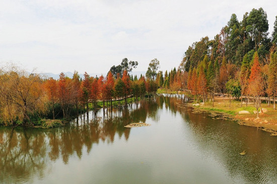 海东湿地公园 上合昆马26-35公里赛程重要景点之一_新浪旅游_新浪网