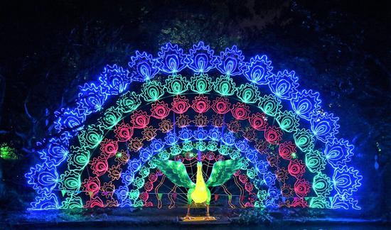 灯展汇演长街宴、露营徒步音乐会14种好玩的