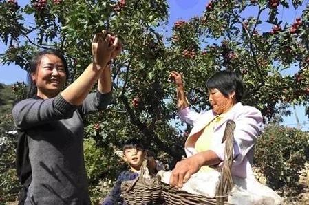 承德市兴隆县半壁山镇